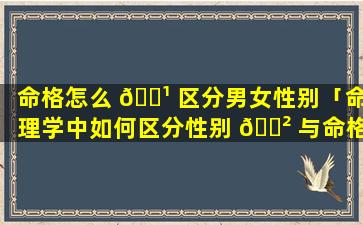 命格怎么 🌹 区分男女性别「命理学中如何区分性别 🌲 与命格」